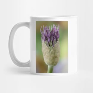 Allium  &#39;Powder Puff&#39;  AGM  Ornamental onion Mug